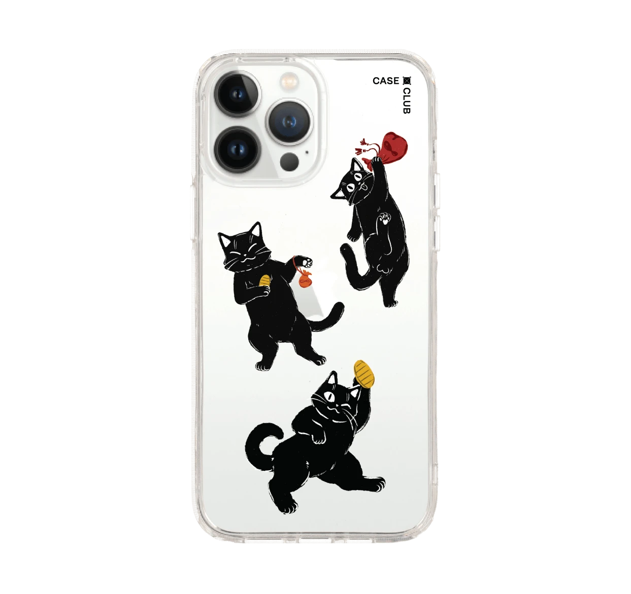 ชีวิตประจำวันของแมวดำ